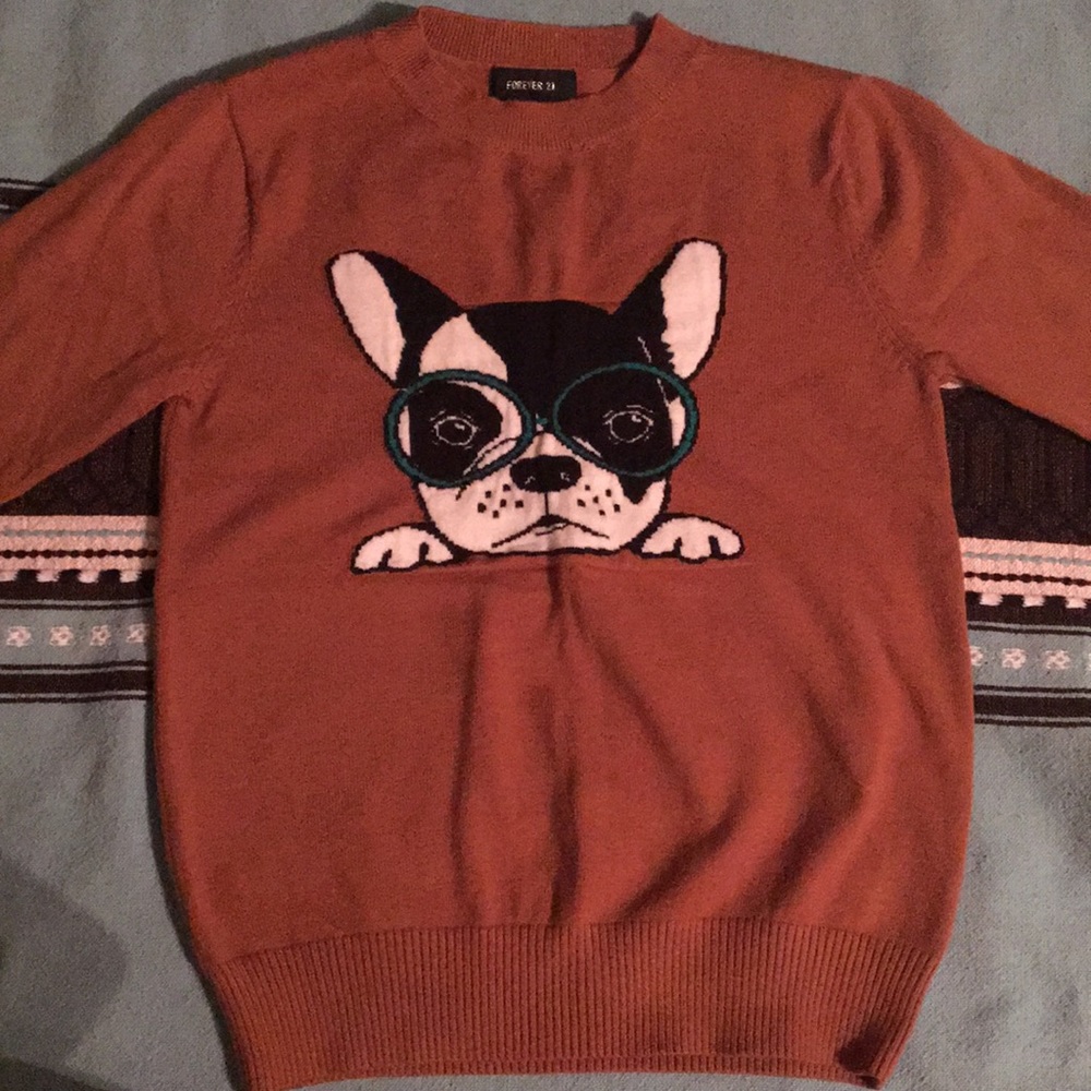 Brown sweater with cute dog.